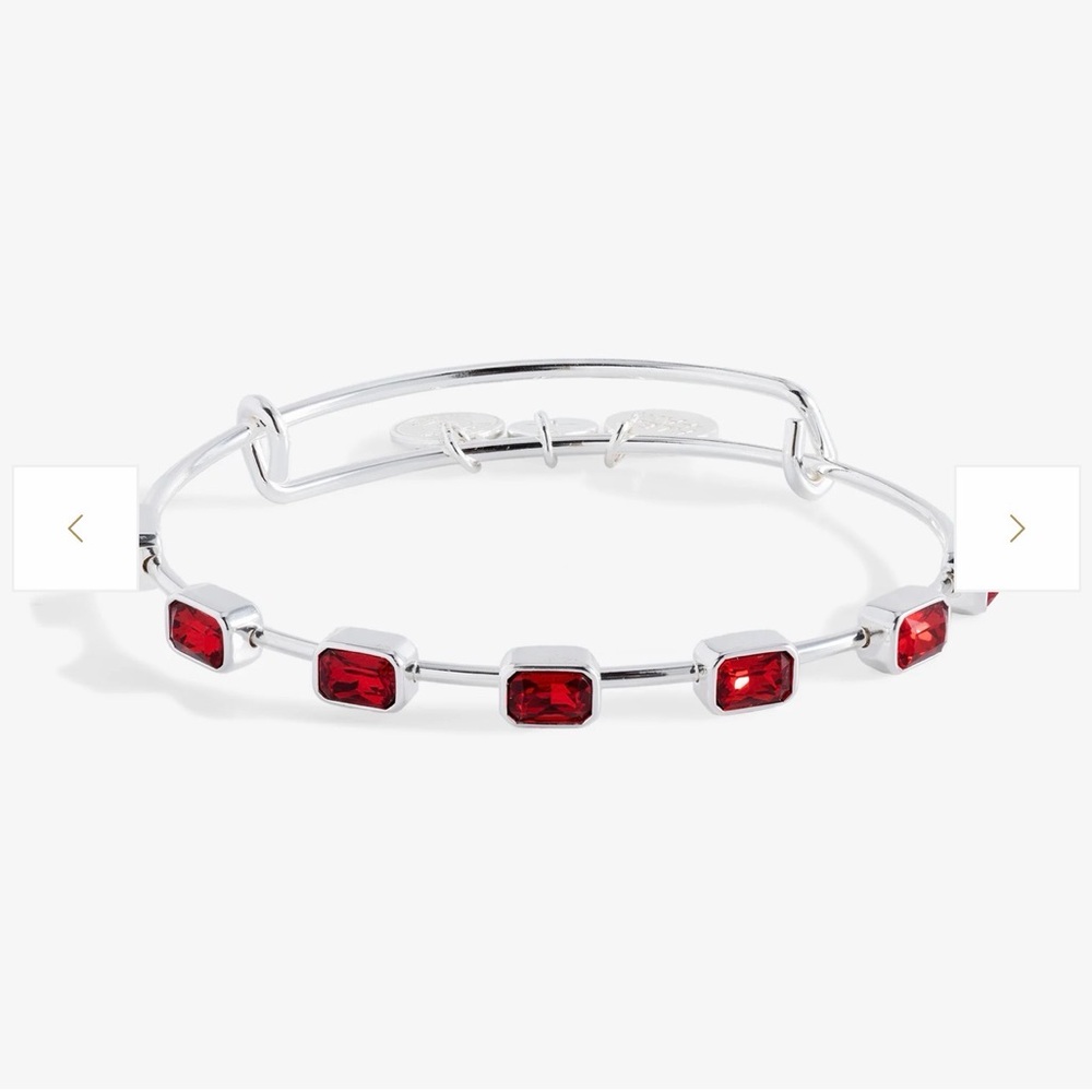 Elegant Silver and Red Gemstone Bracelet- Alex and Ani